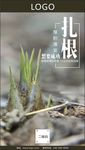 扎根