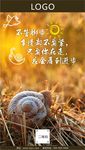 前进的脚步