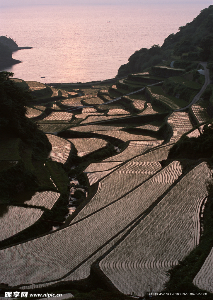 乡村梯田