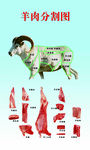 羊肉分割图