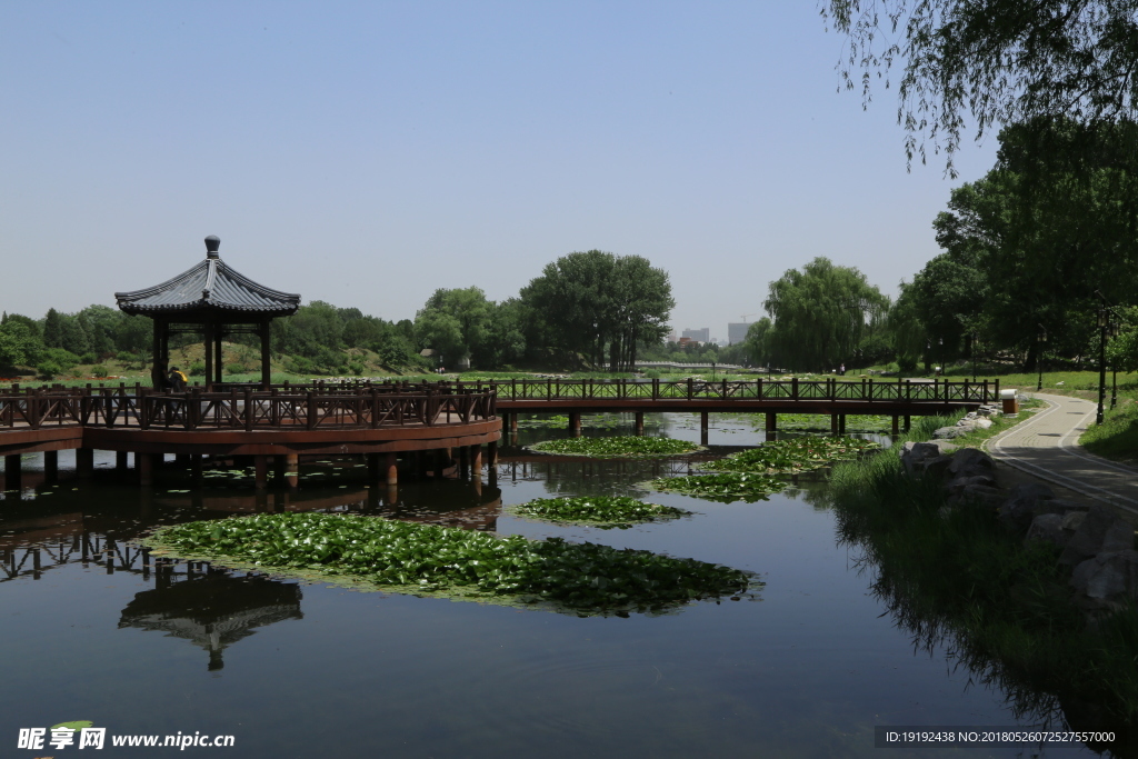 圆明园风景