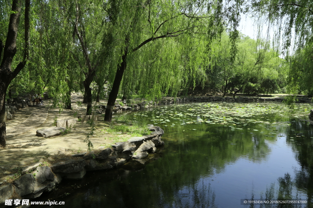 圆明园风景