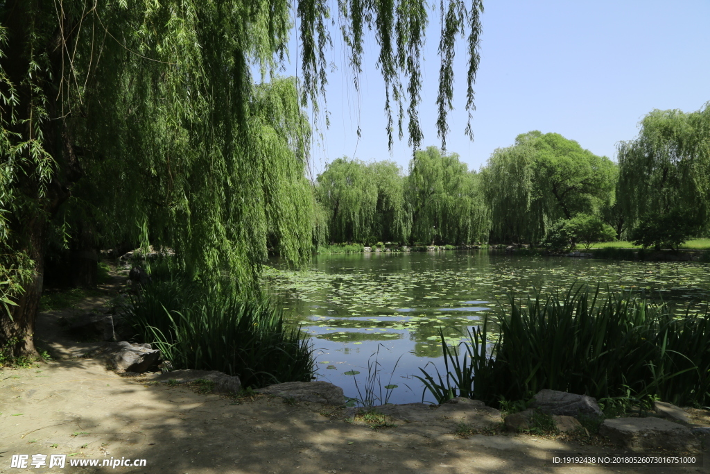 圆明园风景