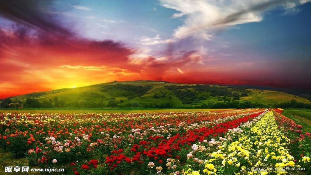 花海