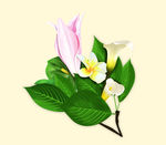 手绘花朵  手绘树叶