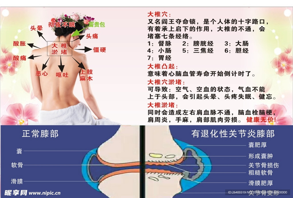 美容养生