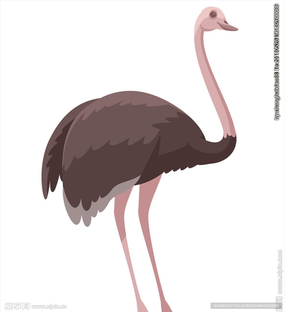 手绘插画动物