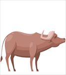 手绘插画动物