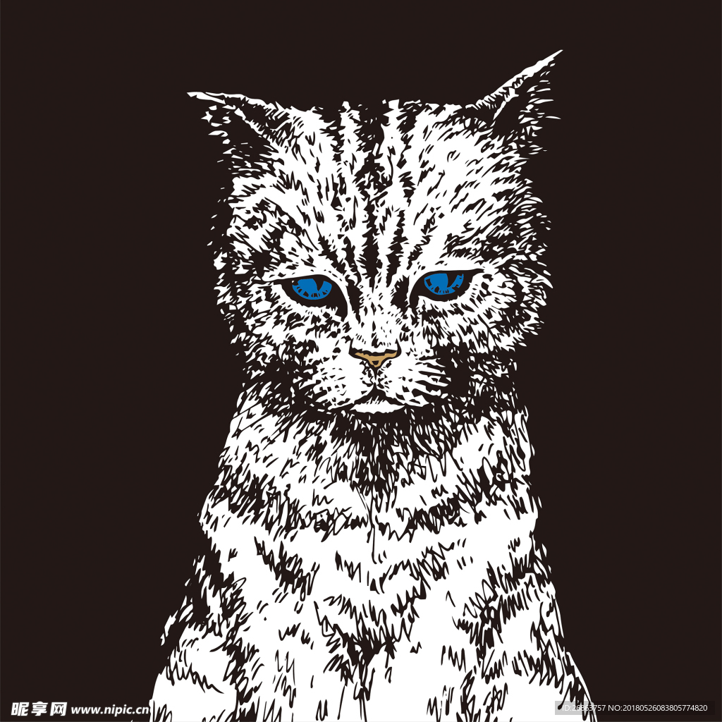 猫