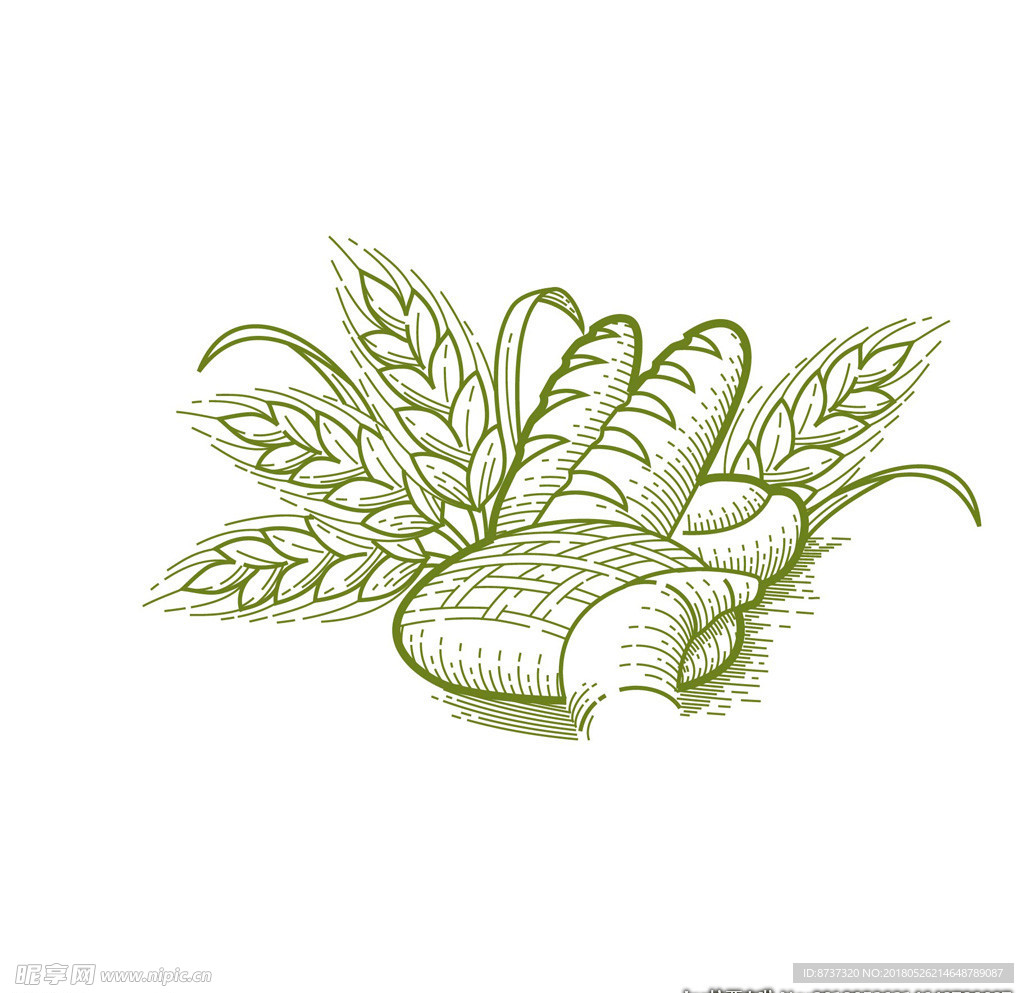 手绘卡通植物