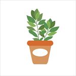 矢量盘栽植物