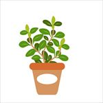矢量盘栽植物