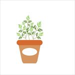 矢量盘栽植物