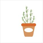 矢量盘栽植物