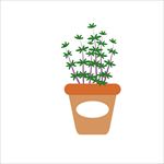 矢量盘栽植物