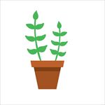 矢量盘栽植物