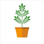 矢量盘栽植物