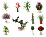 植物素材