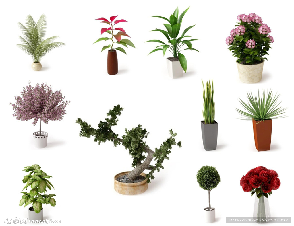 植物素材