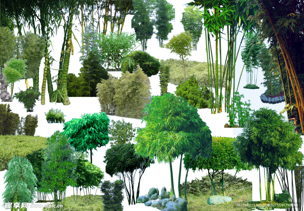 植物素材