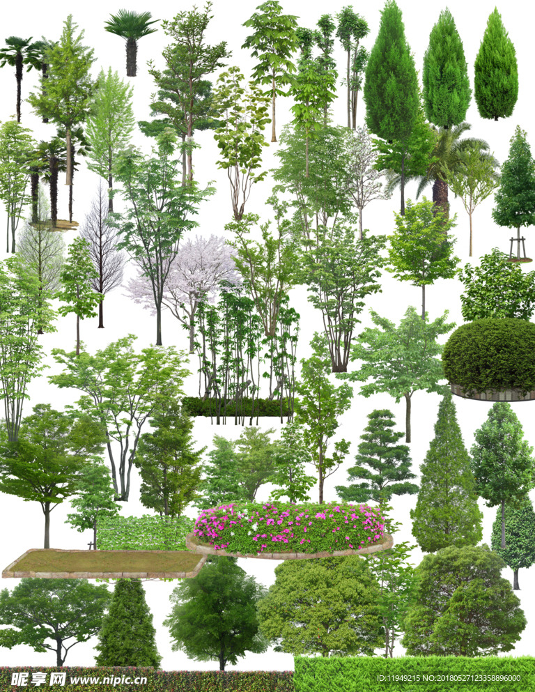 植物素材