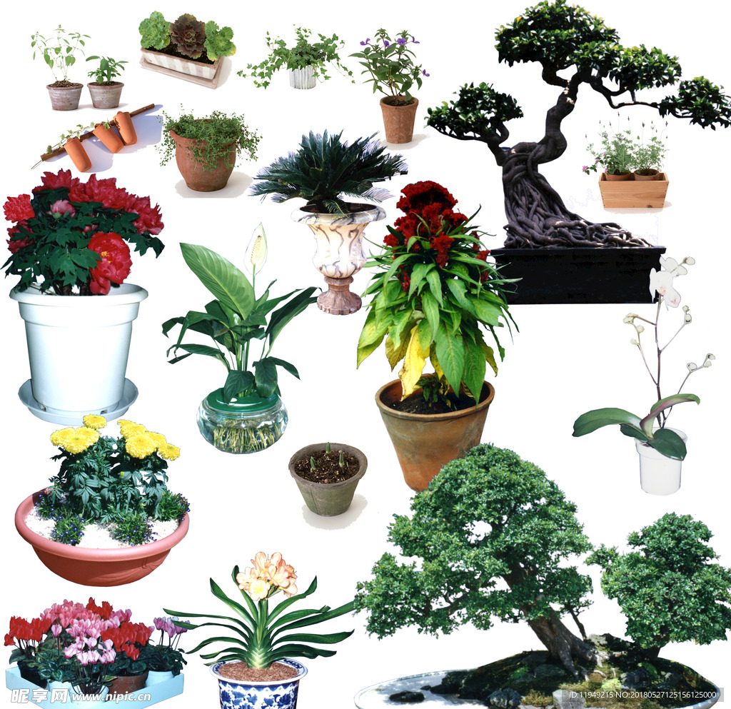 植物素材