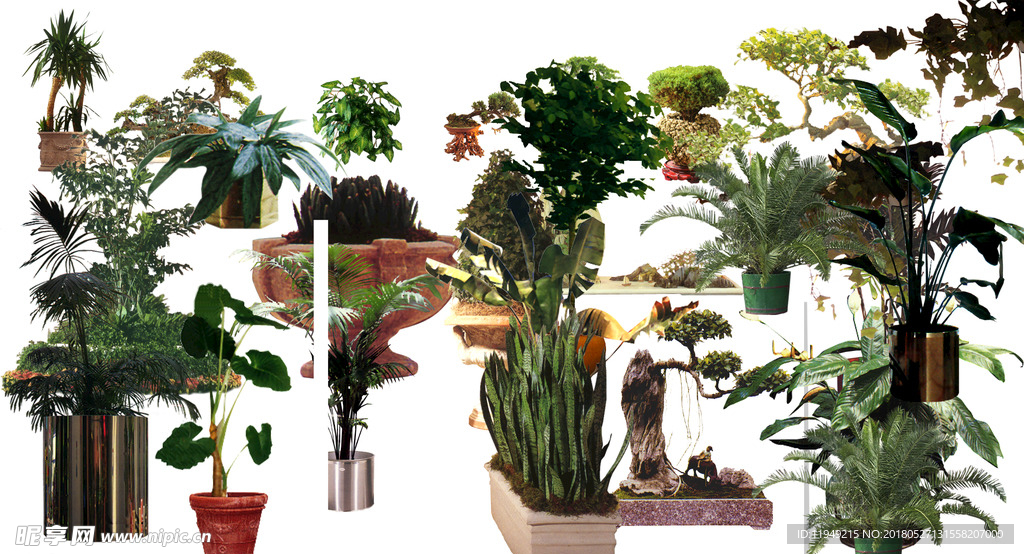 植物素材