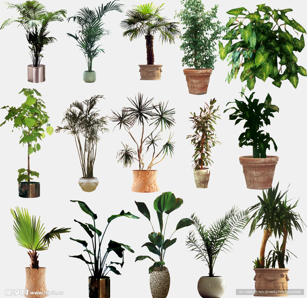 植物素材