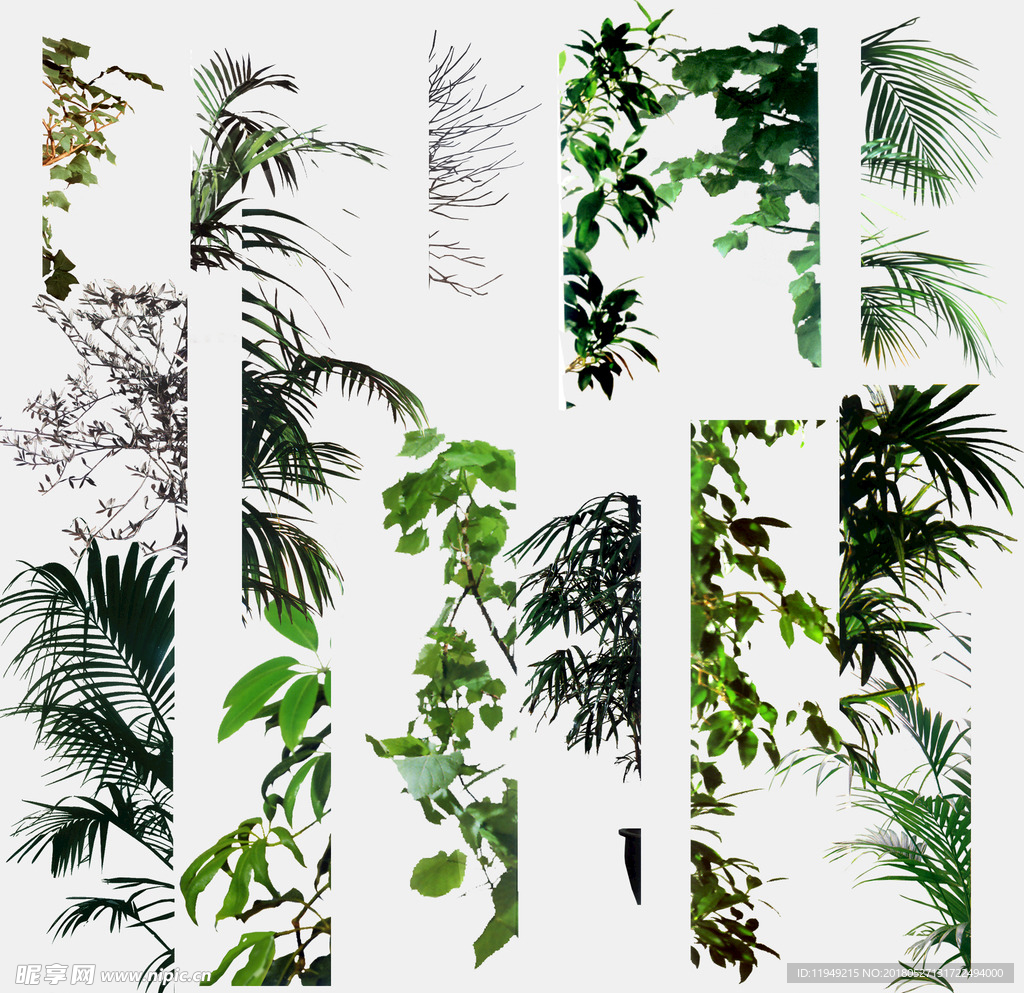 植物素材