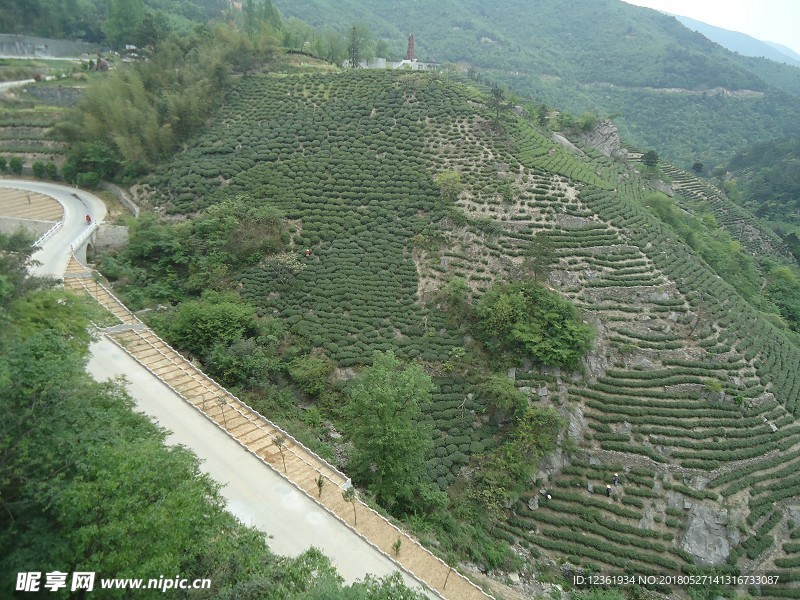 风景