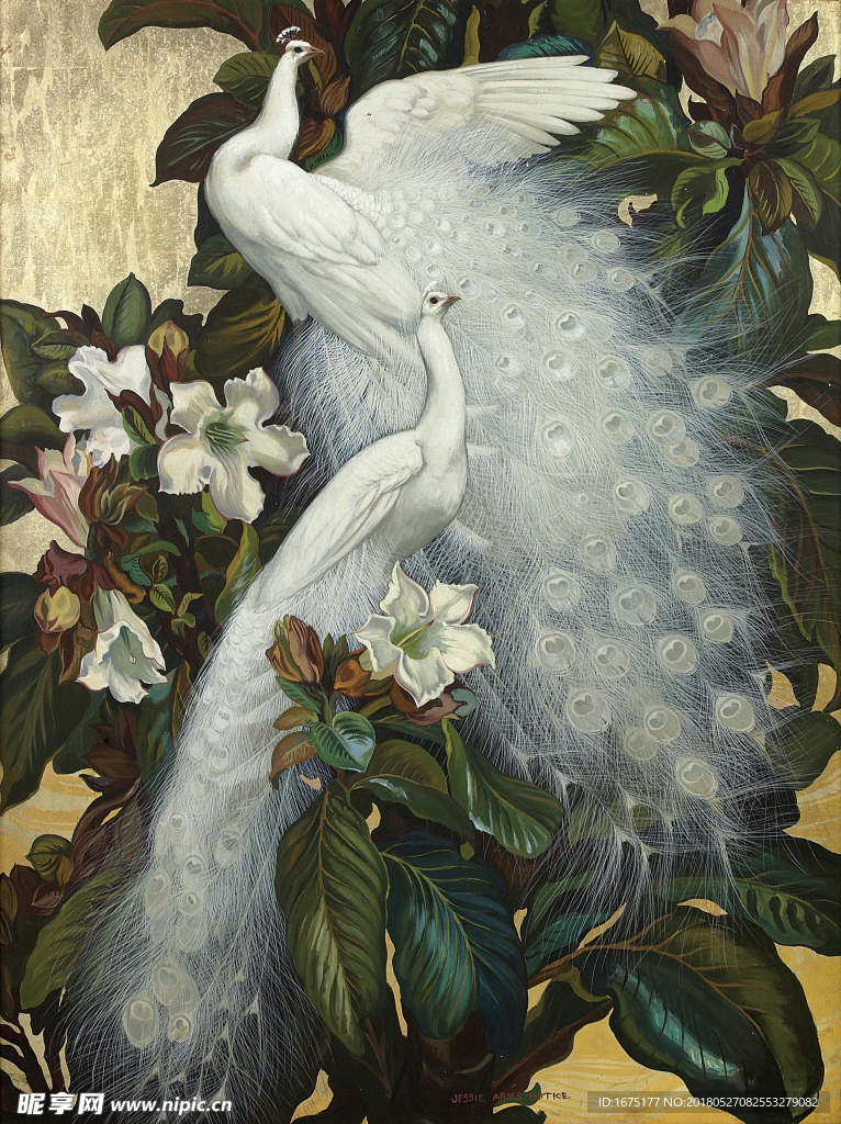 油画孔雀