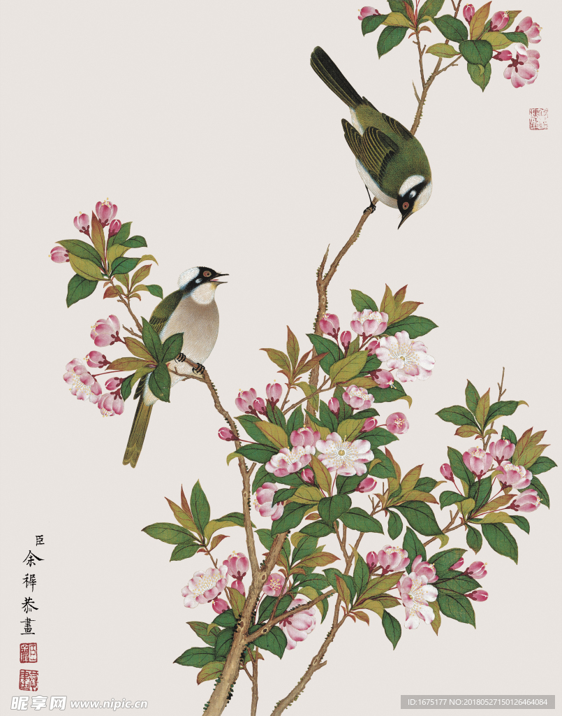 国画花鸟
