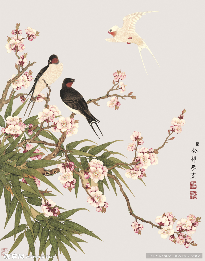 国画花鸟
