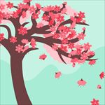 樱花