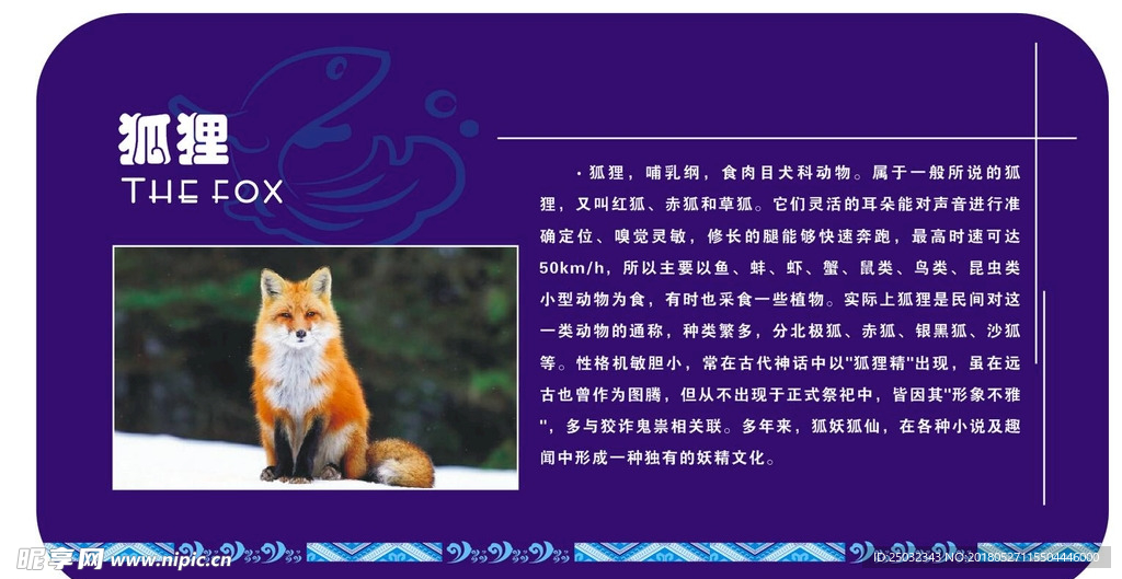 海洋馆狐狸动物介绍UV展板牌