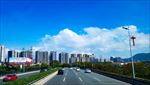 深圳城市随拍