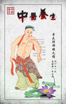 中医养生经络图