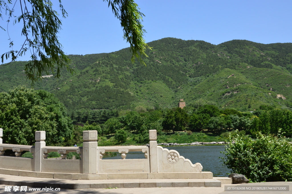 植物园风景