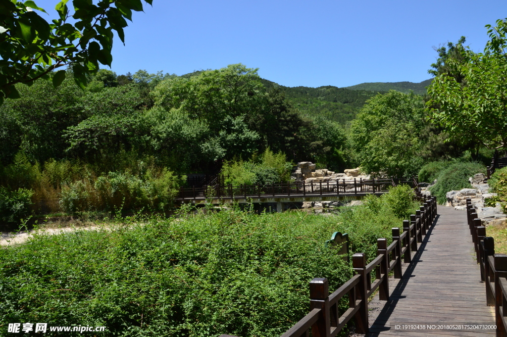 植物园风景