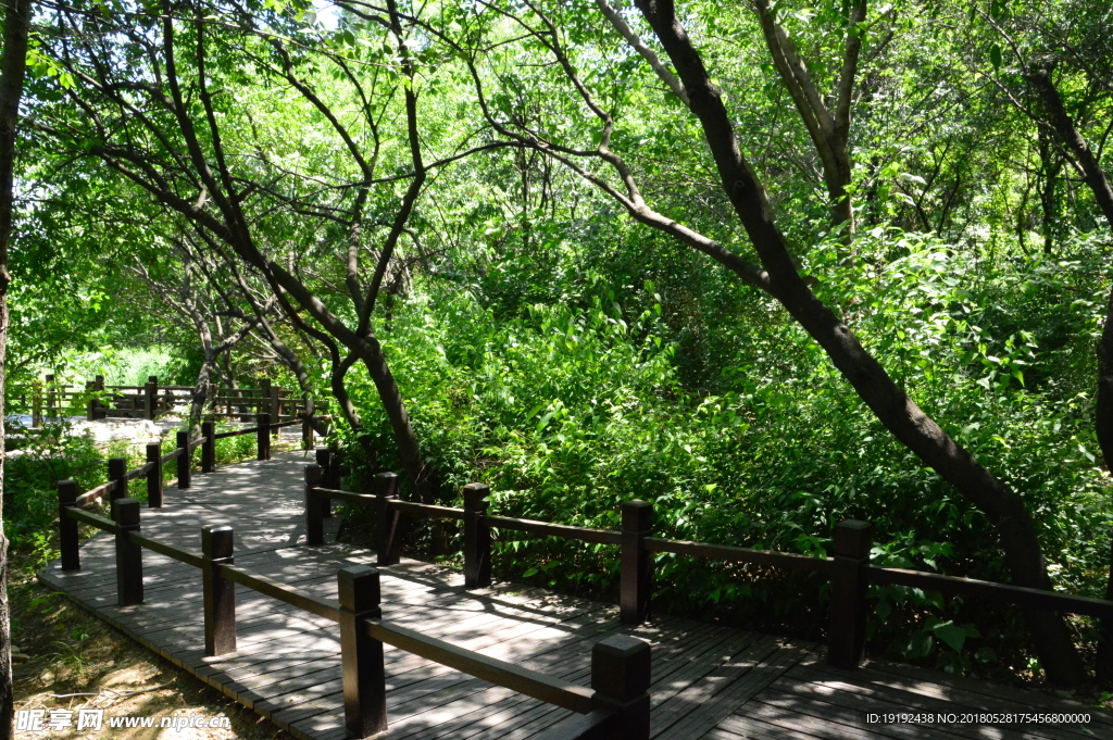 植物园风景