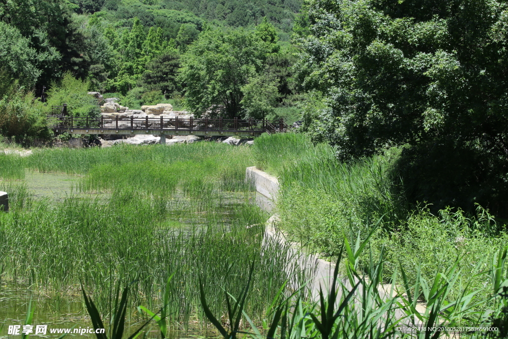 植物园风景