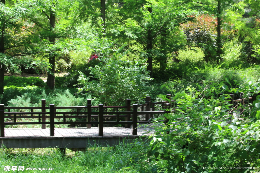 植物园风景