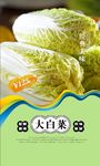 大白菜