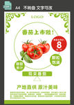 番茄促销海报