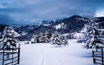 冰天雪地