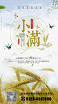 小满 节气