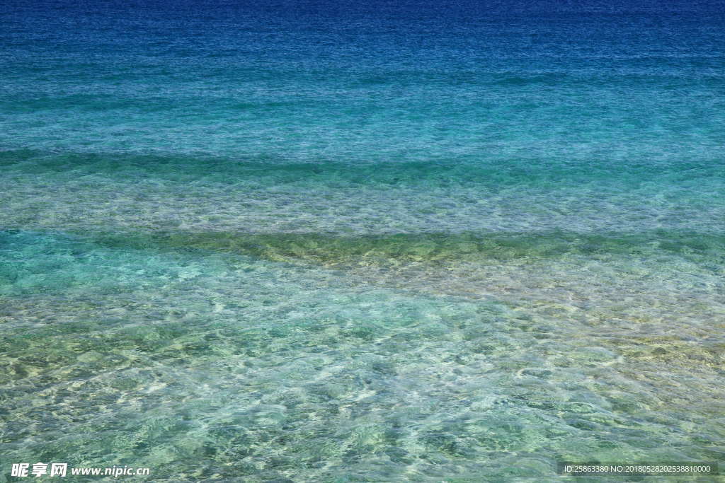 海洋 海滩 浅海  海底