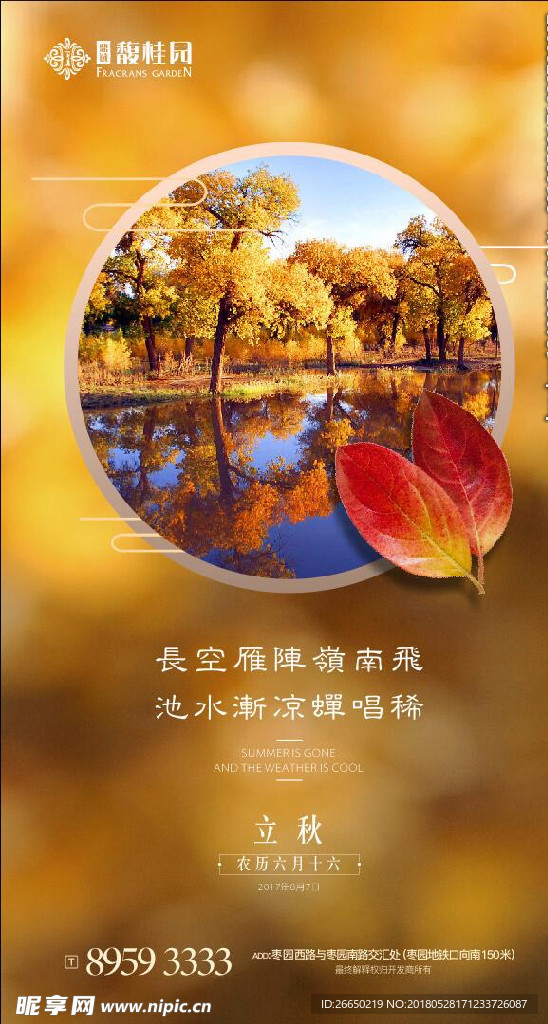 立秋 枫叶