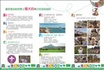 东北童军 三折页 背