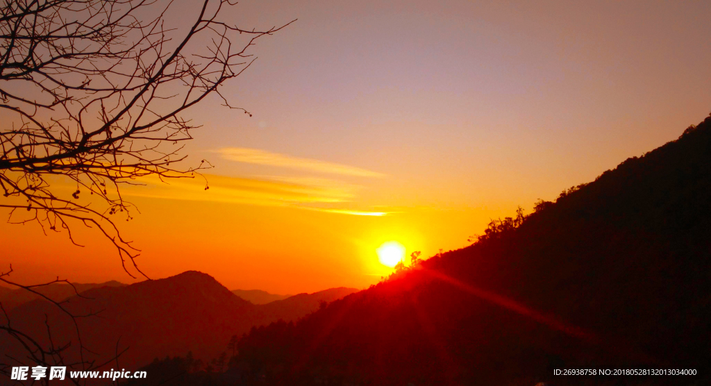 夕阳红